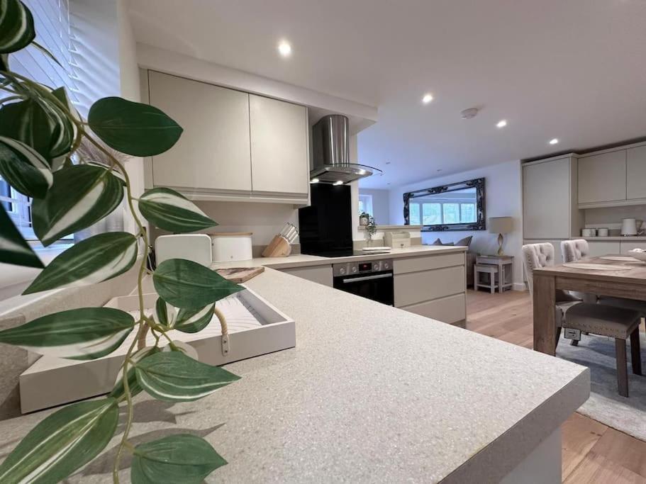 2Bed Ground Floor Flat + Garden Daire Sunningwell Dış mekan fotoğraf